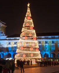 Kerstmis Cursussen